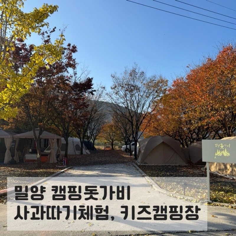 밀양 사과따기체험, 모래놀이 경남 신상 키즈캠핑장 캠핑돗가비