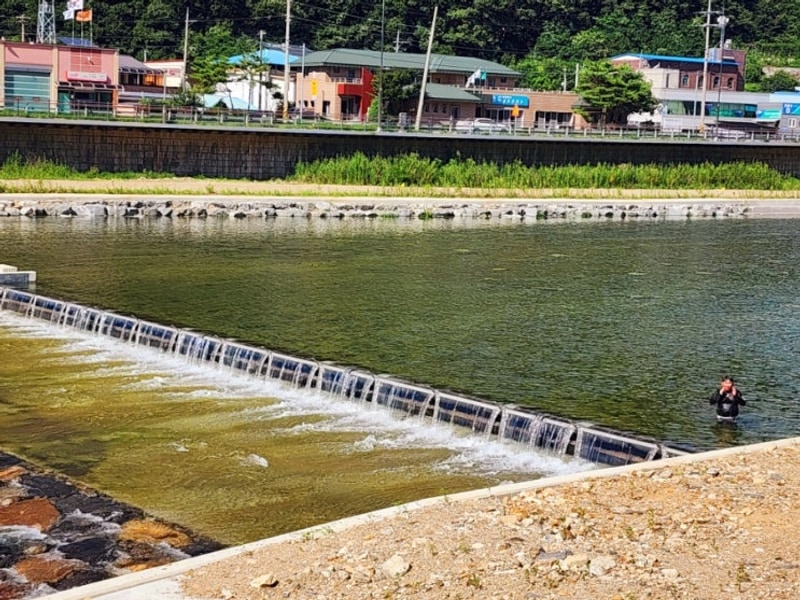 단양 대강 오토캠핑장