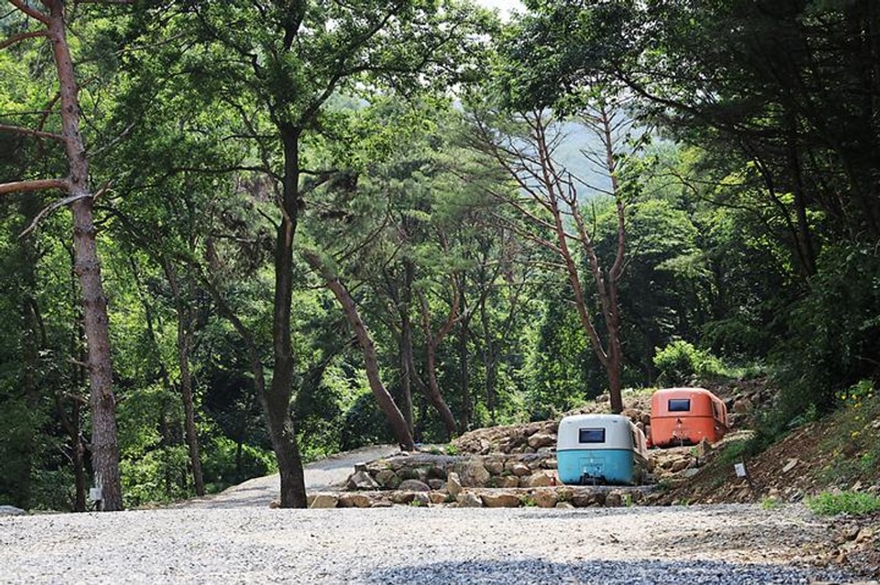 어거스트캠핑장 대표 사진