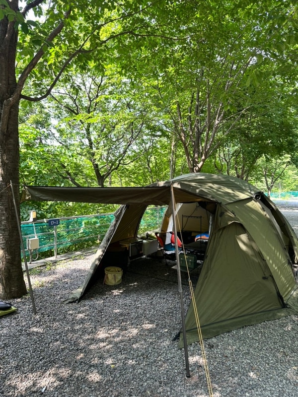 경주 문복산 캠핑장 D1 사이트(6월)