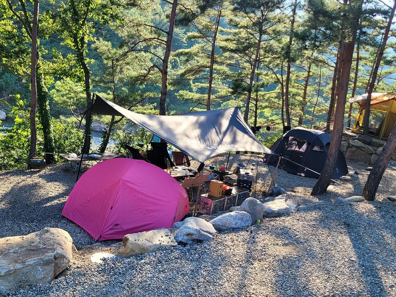 왕피천하늘담야영장 시설 사진 8