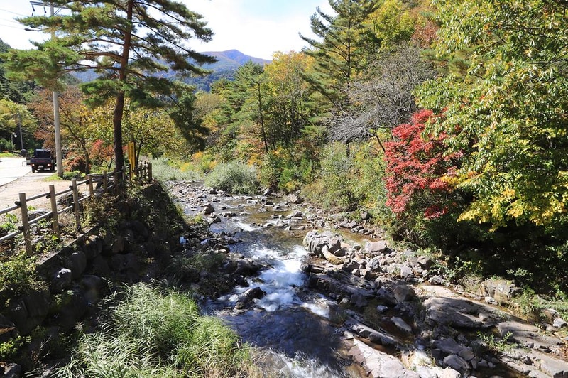 국립두타산자연휴양림 시설 사진 12