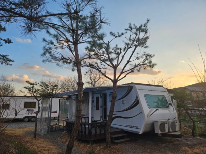 경기도 가평 벚꽃 흩날리는 동화카라반캠핑장