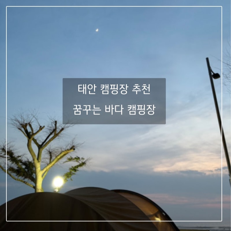 태안 캠핑장 추천 - 꿈꾸는 바다 캠핑장