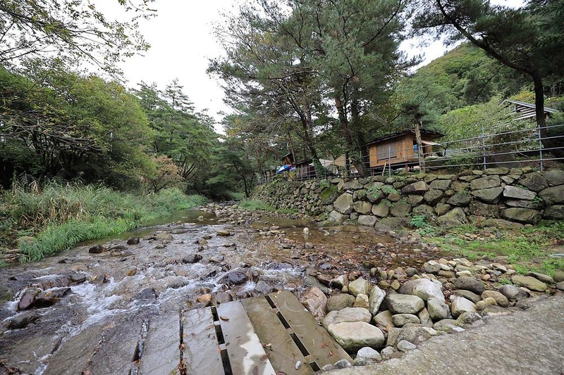 트리하우스계곡야영장 시설 사진 22