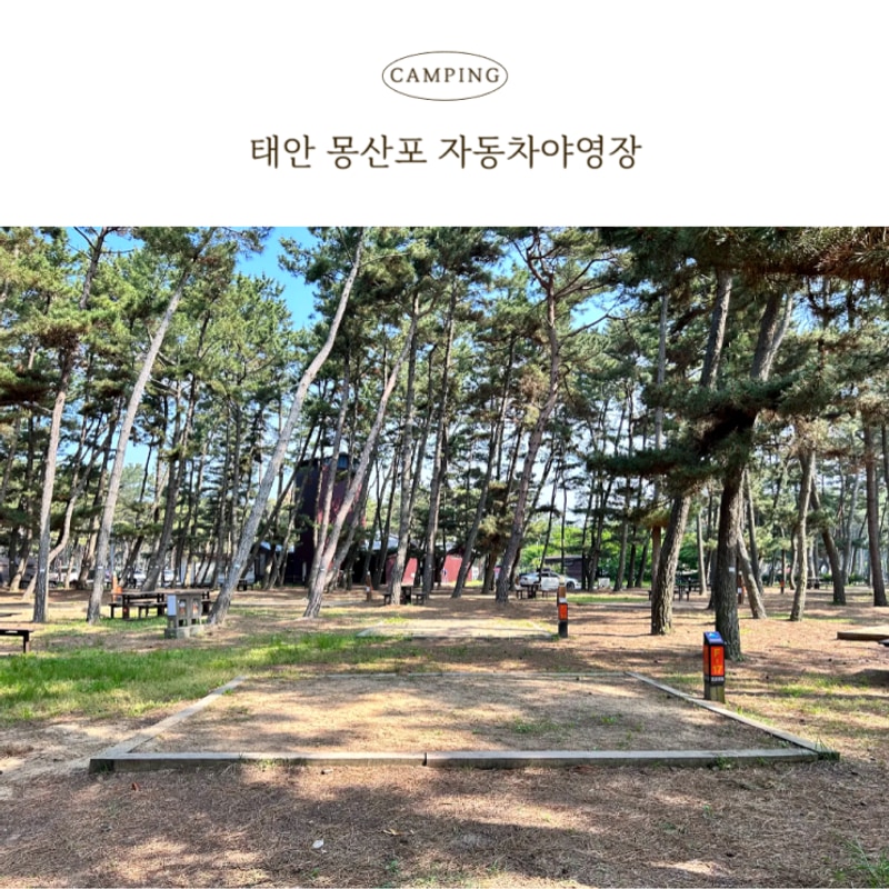 태안 몽산포자동차야영장 2박 3일 캠핑 후기