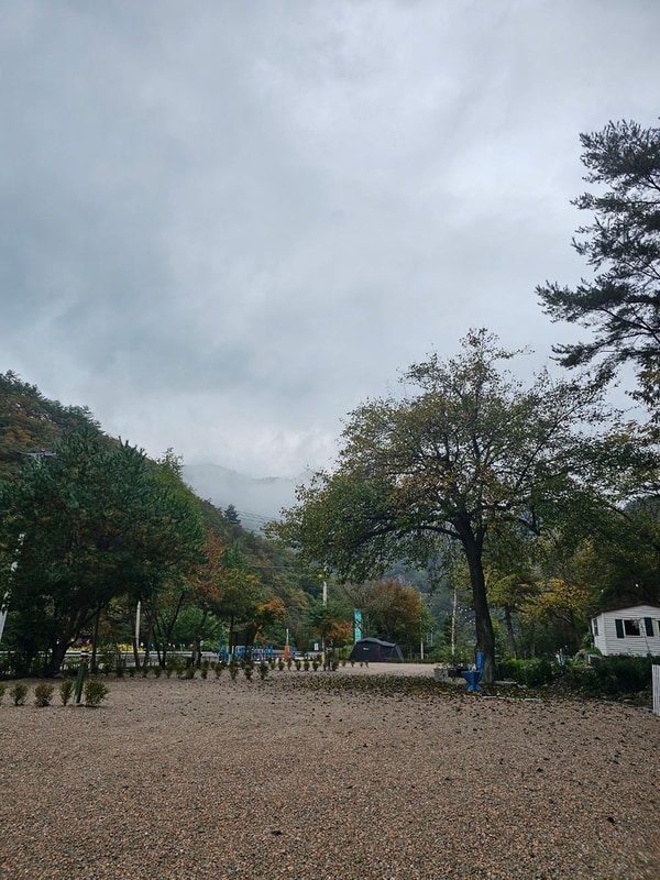 오대천 휴 캠핑클럽 시설 사진 22