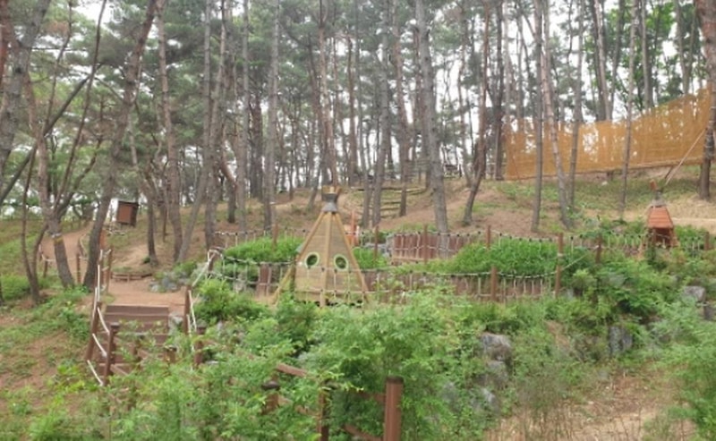 달서별빛캠프 캠핑장 시설 사진 1