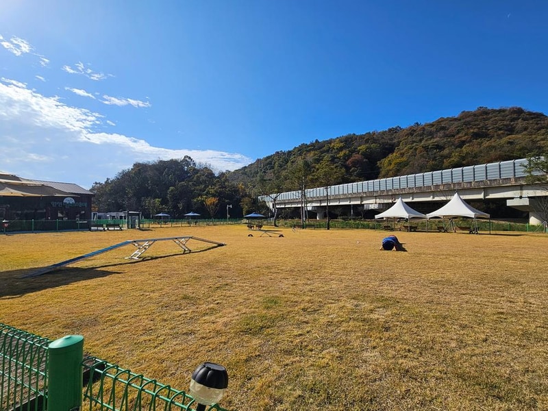 춘풍원 농촌체험 휴양마을 야영장 시설 사진 2