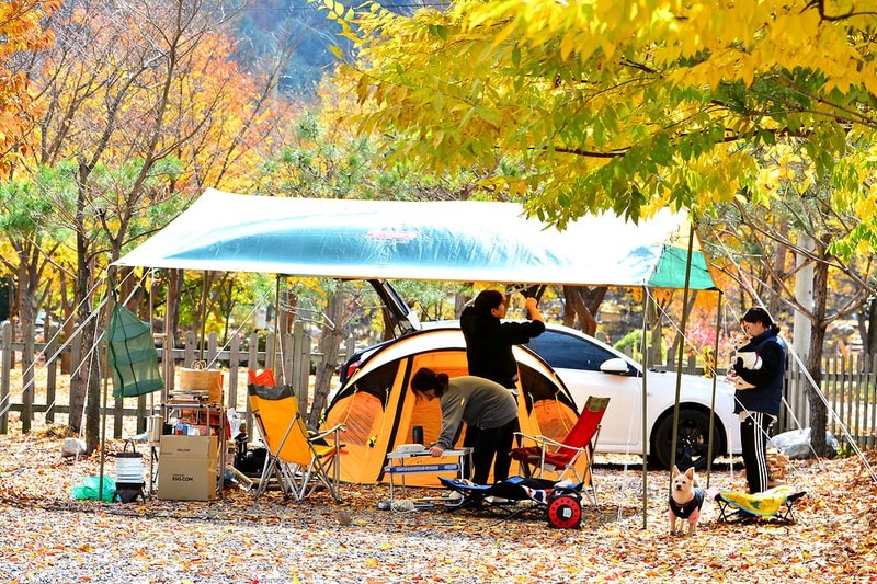 홀리데이캠핑장 시설 사진 11