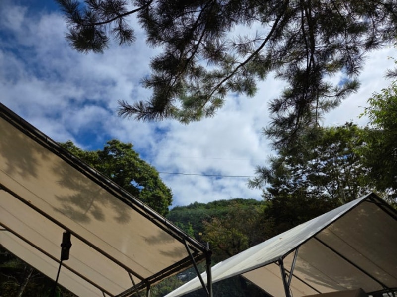 추석연휴 원주 매봉캠핑장 매봉힐링캠프에 다녀온 후기....