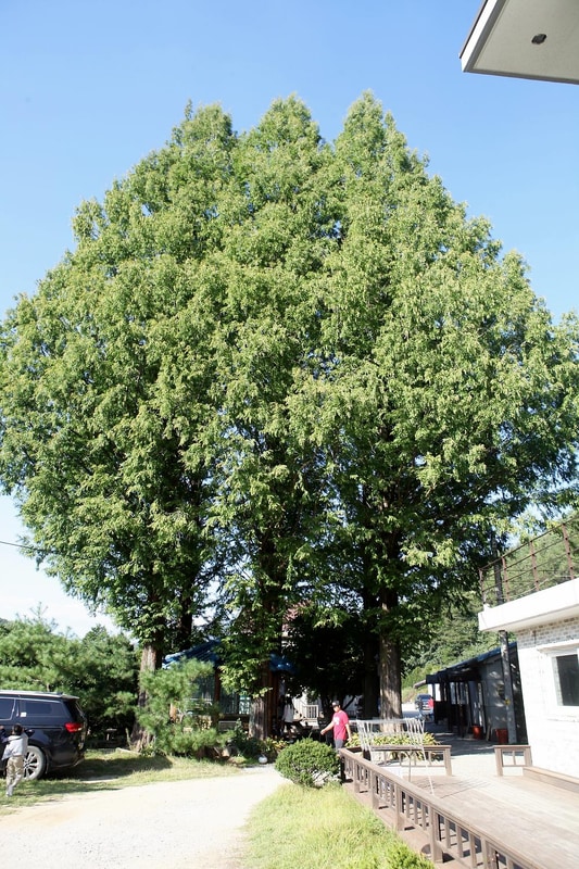 남양주 휴림캠핑장 시설 사진 12