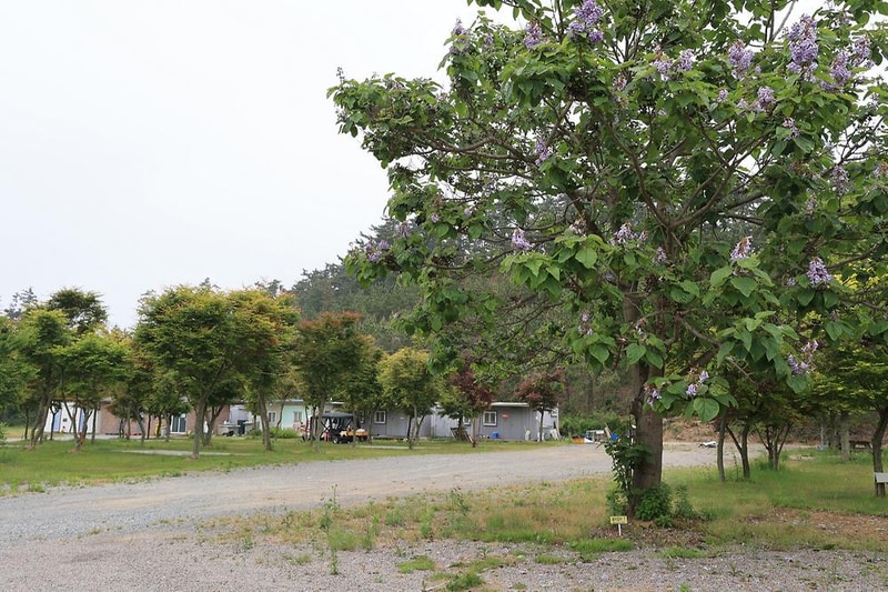 솔향기길야영장 시설 사진 1