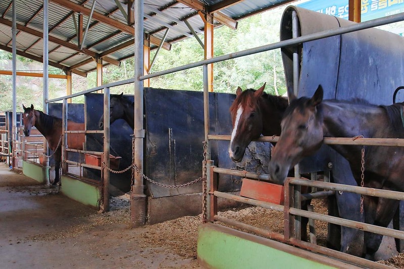 제천워터파크캠핑랜드 시설 사진 3
