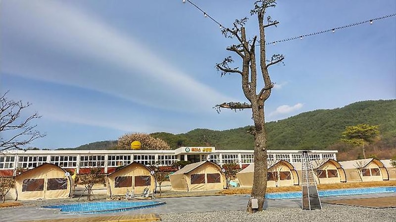 위더스글램핑 대표 사진