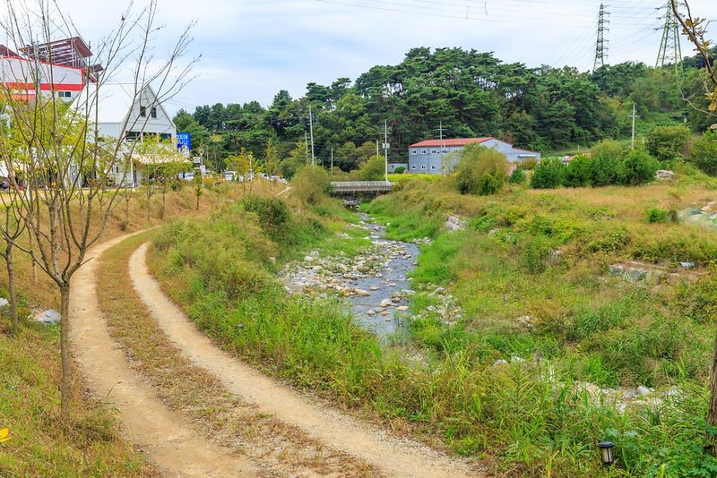 캠핑에 바나나 시설 사진 4