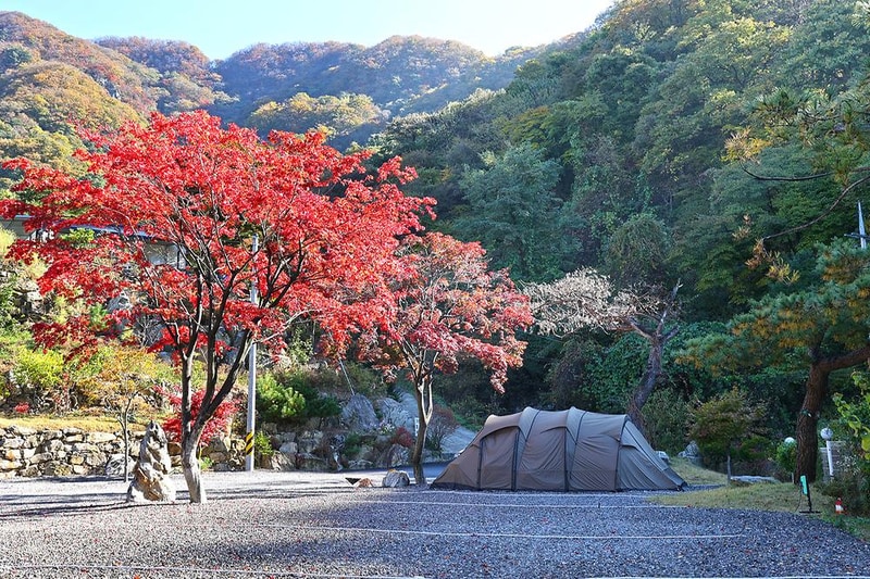 가평랜드 캠핑&카라반 시설 사진 1