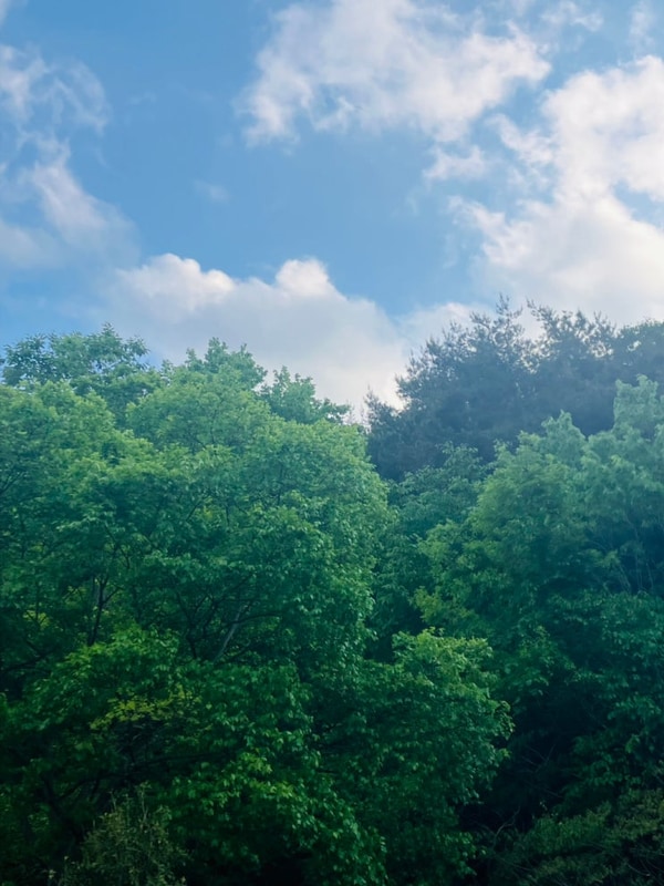 화순 워렉스 캠핑장 후기 , D사이트 7-8 , 광주 근교 캠핑장