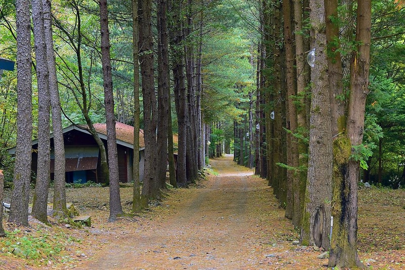 아버지의숲 산정캠프 시설 사진 7