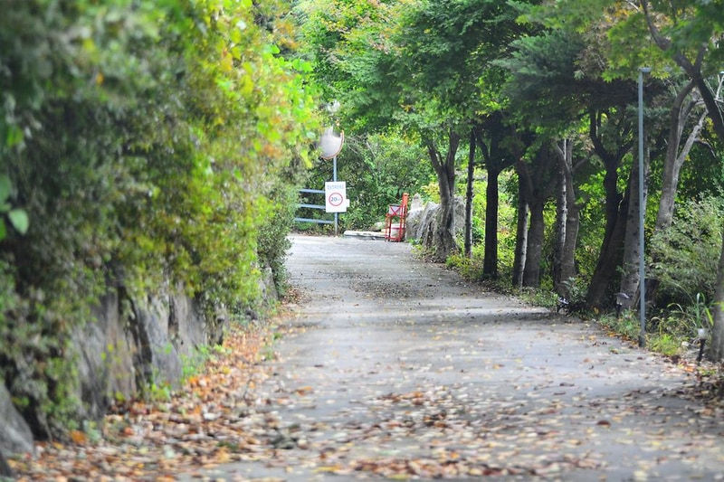 브라보캠핑장 시설 사진 20