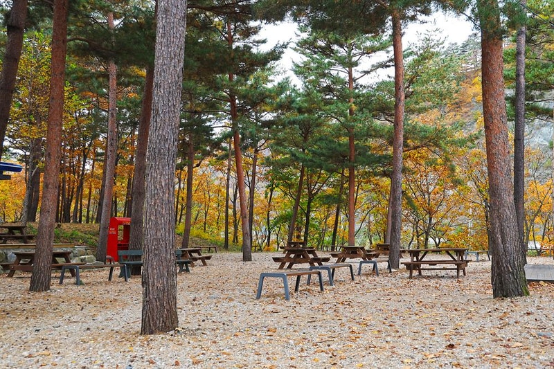 강릉 노추산 힐링캠프 시설 사진 7