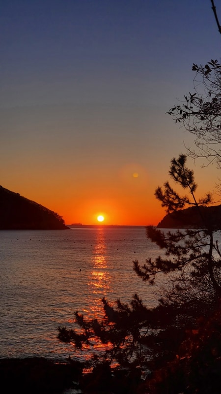 No104) 2024.12.29.~2025.1.1. 거제 구조라항캠핑장 일출캠핑