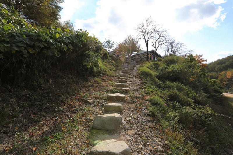 왕피천모래언덕 펜션/캠핑장 시설 사진 6
