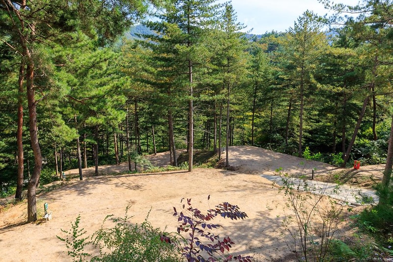 심천치유자연휴양림야영장 시설 사진 19