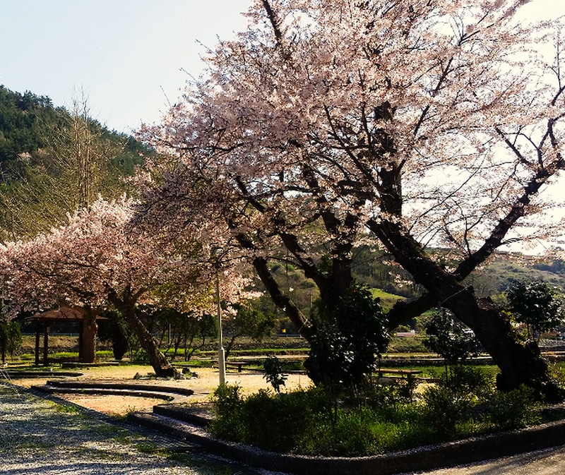 보물섬 캠핑장 시설 사진 2