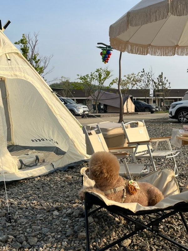 화성 캠핑장 백미리 희망캠핑장