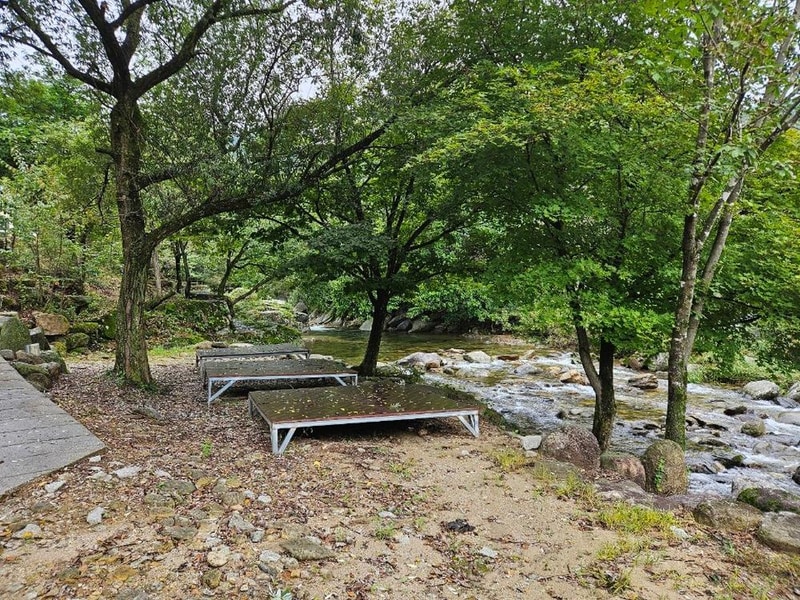 월성자연캠핑야영장 시설 사진 3