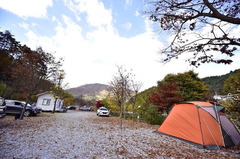 늘푸른쉼터 대표 사진