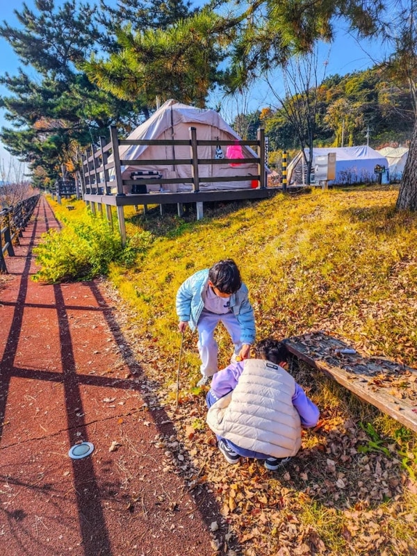 충남 서천(국민여가캠핑장,금강바람개비길)