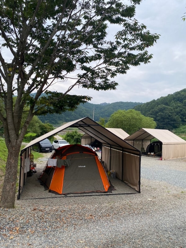 괴산 원더포레스트 캠핑장