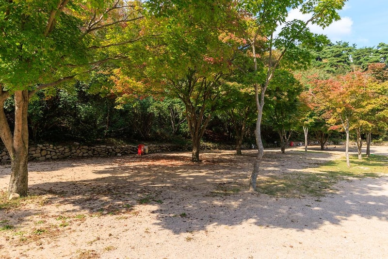 심천치유자연휴양림야영장 시설 사진 23