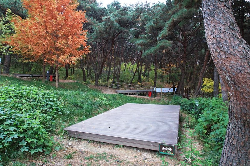 달서별빛캠프 캠핑장 시설 사진 23