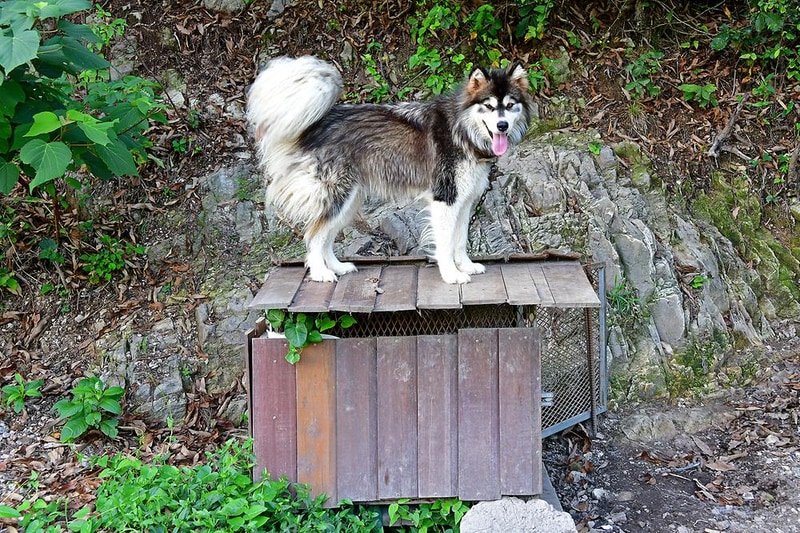 자연애스토리 시설 사진 8