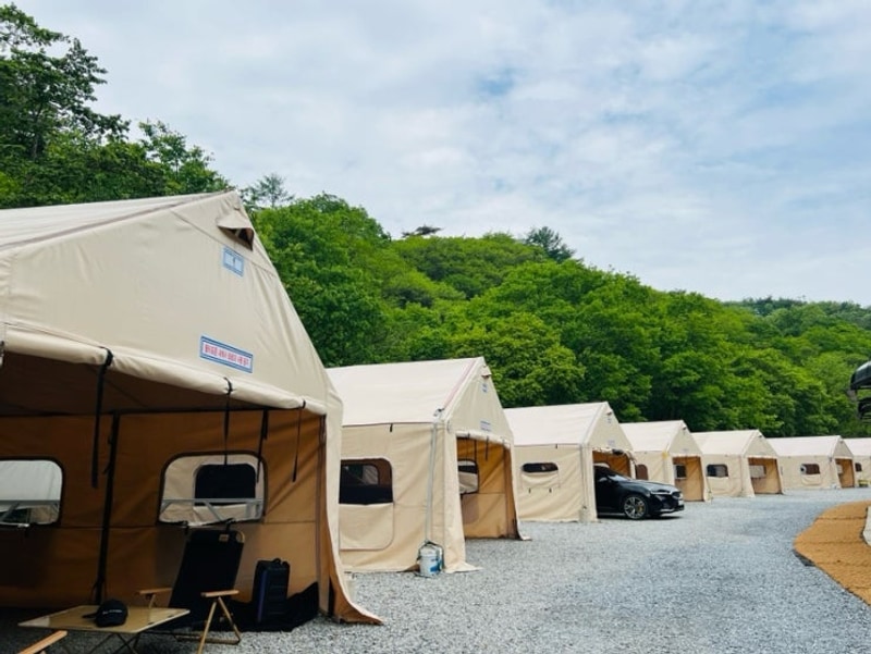 제천 - 덕동계곡 애견동반 풀타프존 208덕동캠핑장, 배치도...