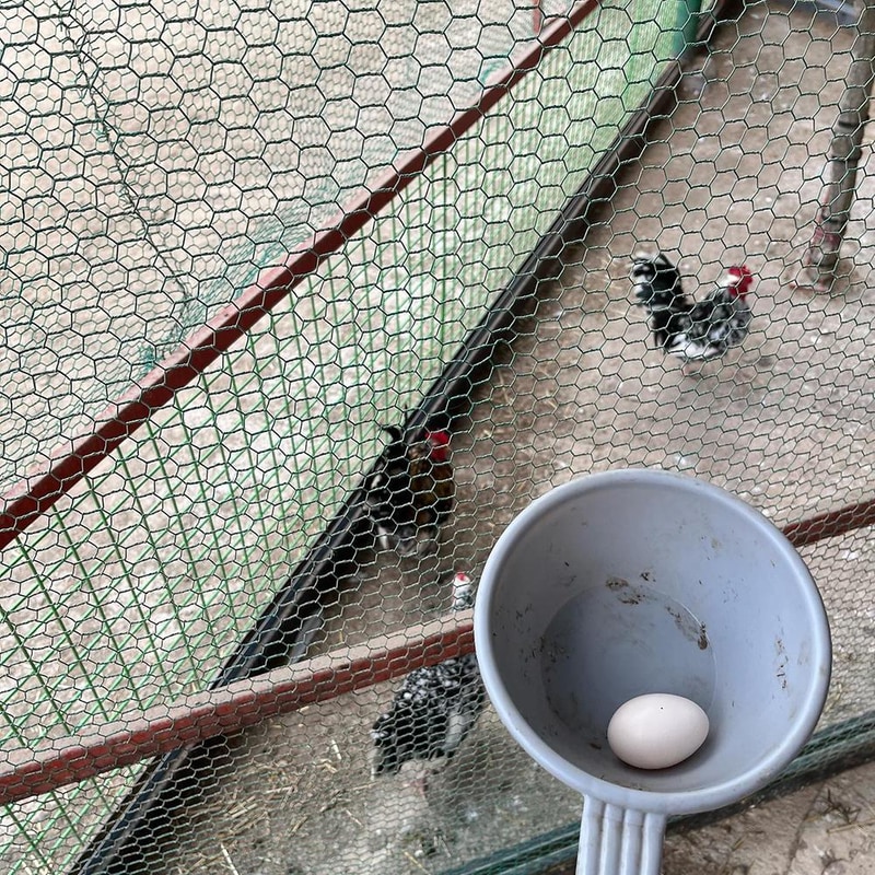 그랜드 파파하우스야영장 시설 사진 2