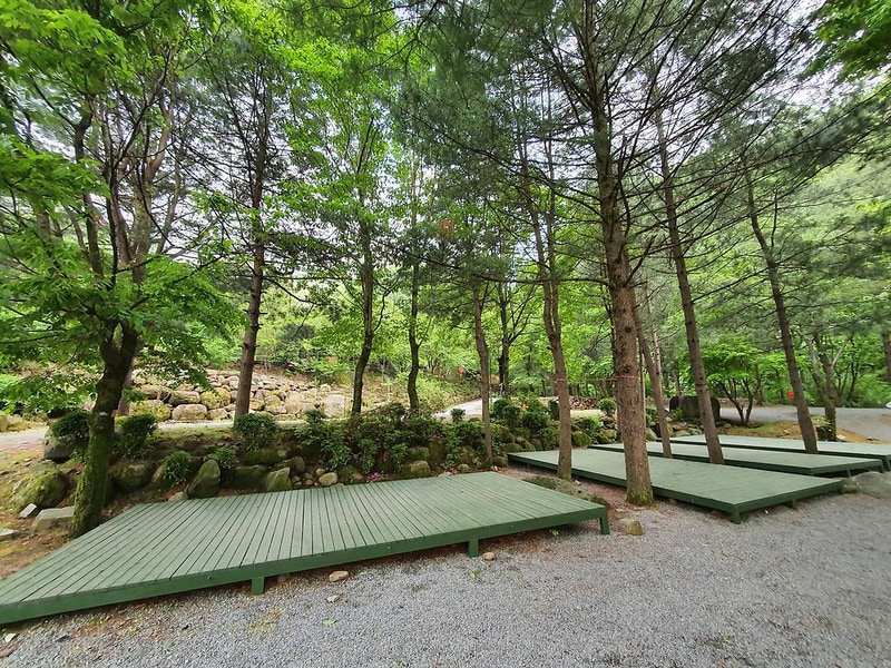 단양 천동계곡 캠핑장 그린농원 시설 사진 29