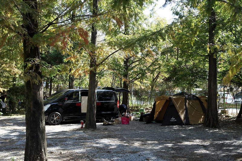 반디캠프 시설 사진 2