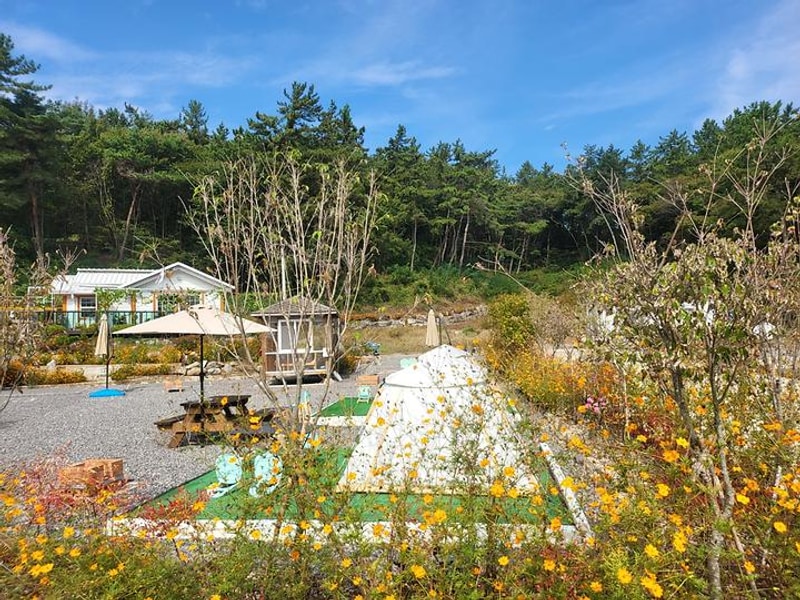 사천파인트리캠핑장 대표 사진