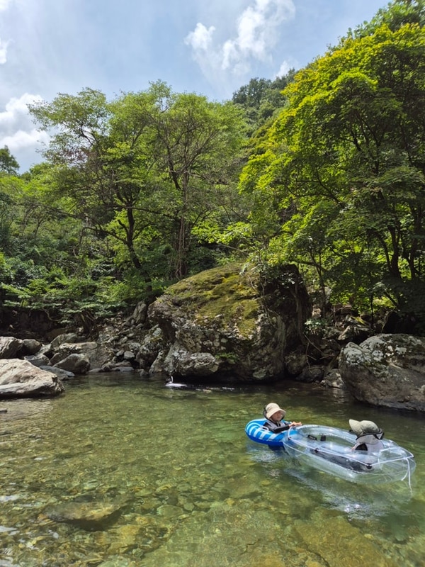 수영장과 계곡을 한번에, 양산 캠프포레 평상 이용후기