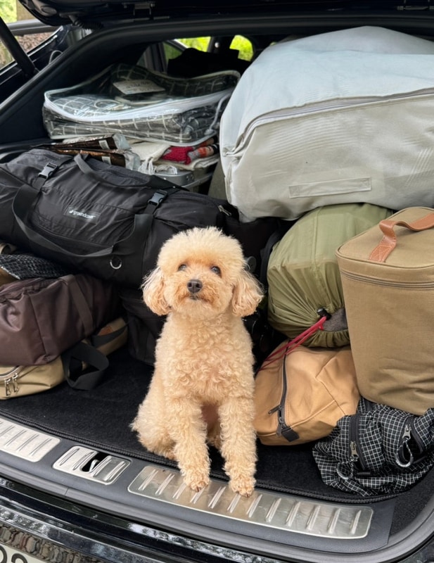 2박 3일 영동 맑은누리 캠핑장 ️