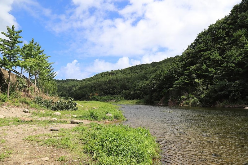 내평계곡캠핑장 시설 사진 13