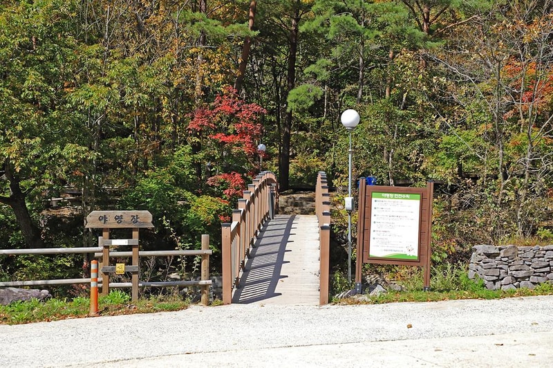 국립두타산자연휴양림 시설 사진 19