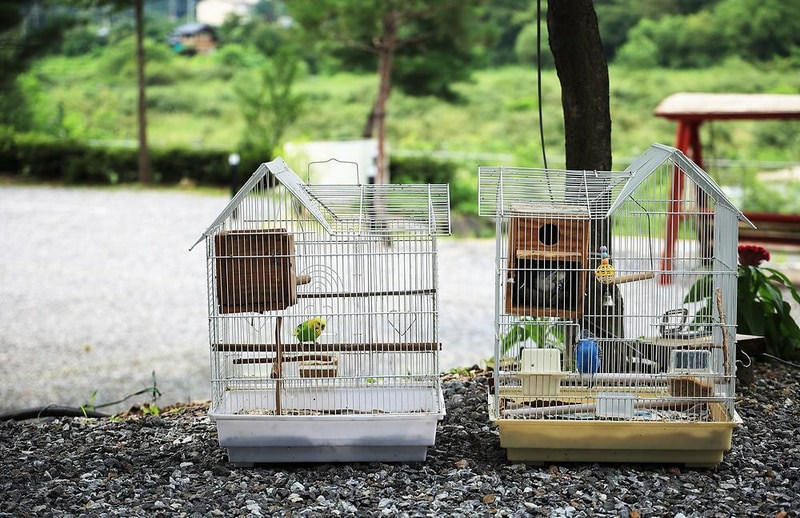 읍내리 75-1 캠핑장 시설 사진 12