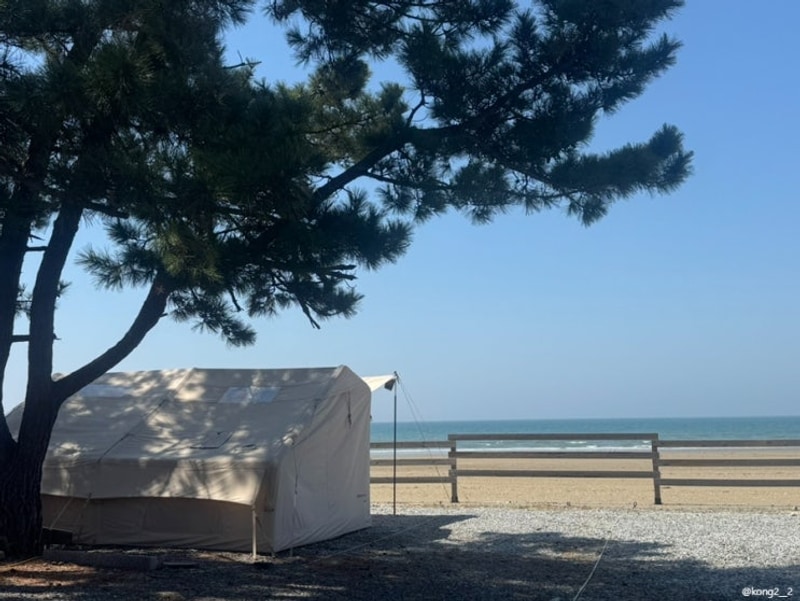 [여행 일기] 태안 캠핑⛺(꿈꾸는바다 캠핑장, 신태루, 슬기로운...