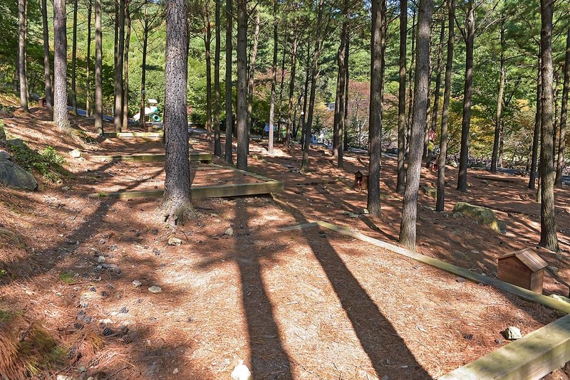 제암산자연휴양림 야영장 시설 사진 8