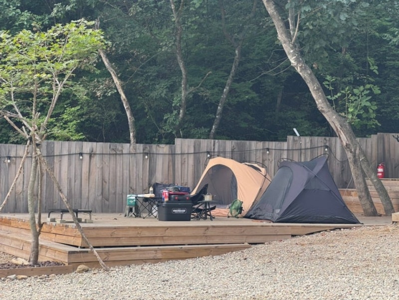 46.인제 잼보리캠프